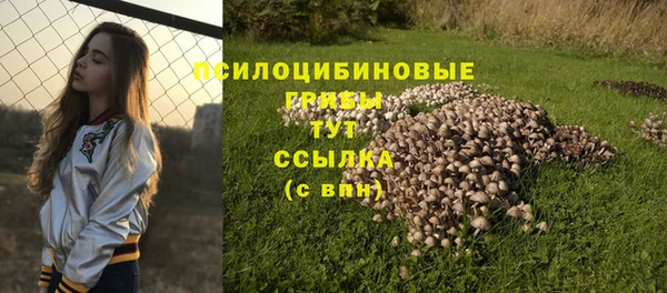 не бодяженный Баксан